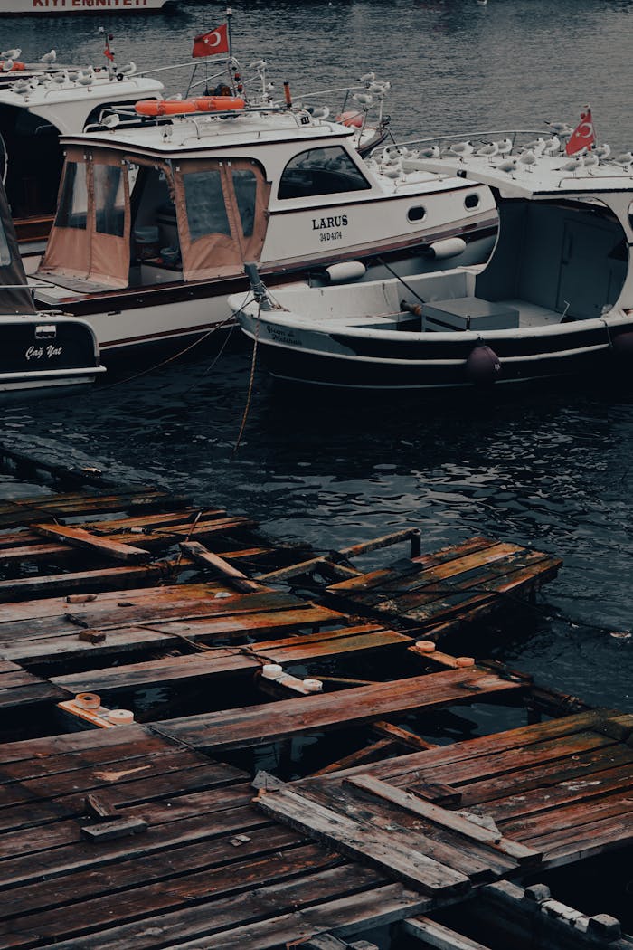 Rustic wooden pier with moored boats floating peacefully on water.