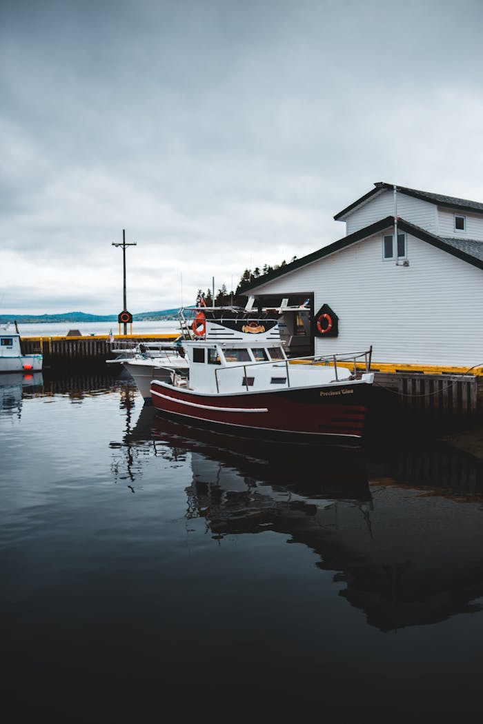 A peaceful riverside scene featuring boats docked near a cozy cottage under an overcast sky.